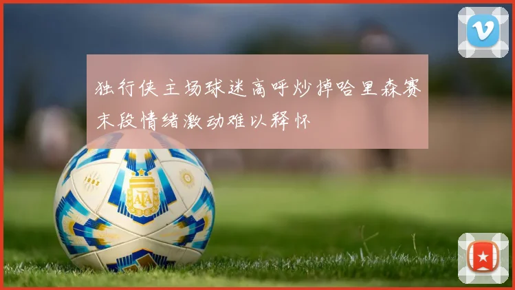 独行侠主场球迷高呼炒掉哈里森赛末段情绪激动难以释怀