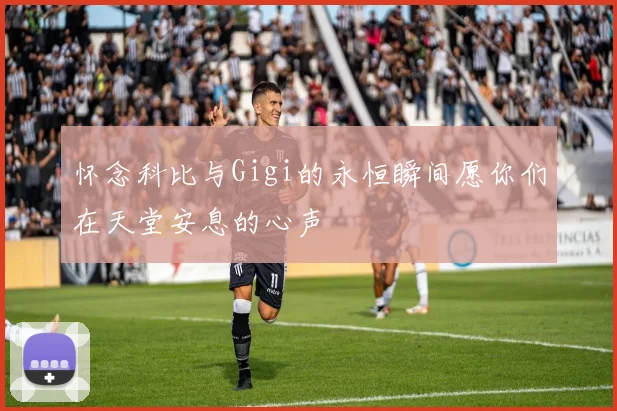 怀念科比与Gigi的永恒瞬间愿你们在天堂安息的心声