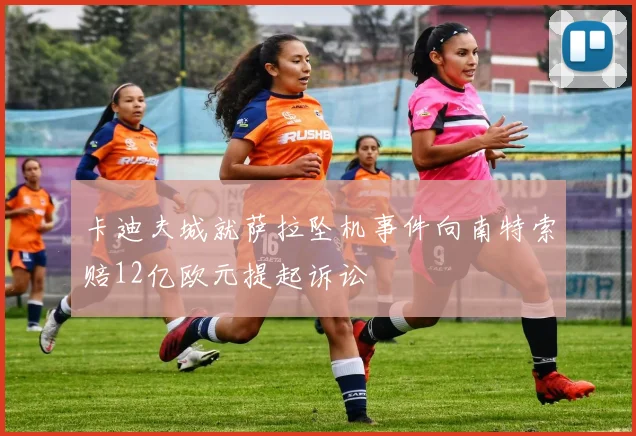 卡迪夫城就萨拉坠机事件向南特索赔12亿欧元提起诉讼