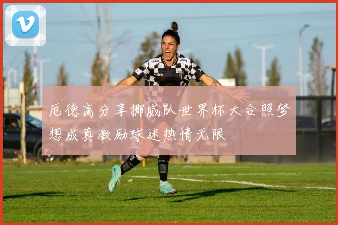 厄德高分享挪威队世界杯大合照梦想成真激励球迷热情无限
