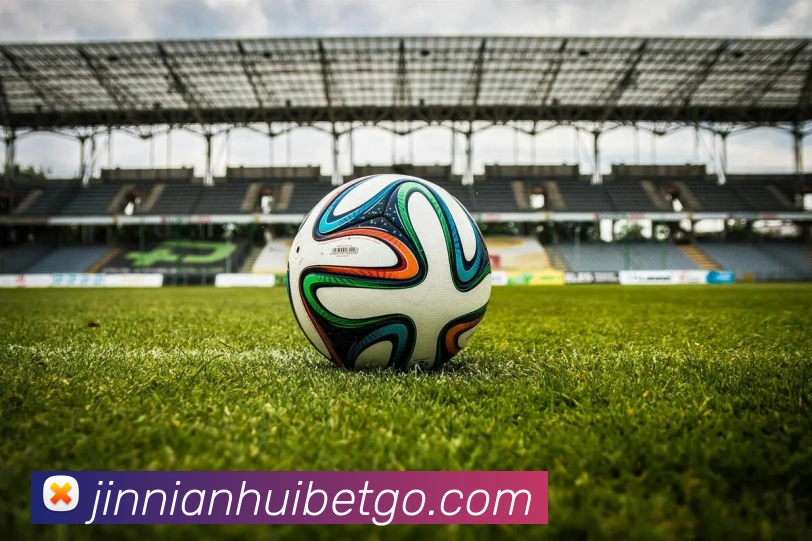 金年会APP 封面图